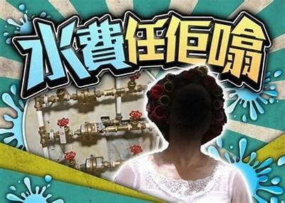 铚滄閰电礌鍋氭偿瑙嗛：完整解析市场动向与发展前景