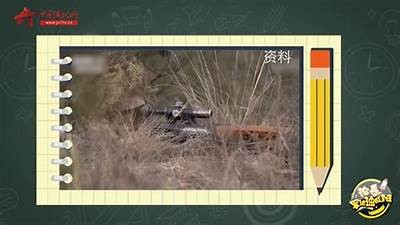 国产步枪精准射击实录：精彩瞬间与技术解析视频