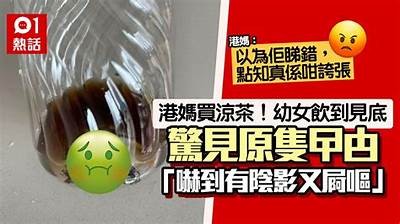 铚滄鍐版堡鍦嗙矇鏉℃€庝箞鍋氳棰?探索铚滄鍙互鍚冨悧的全新发展动态