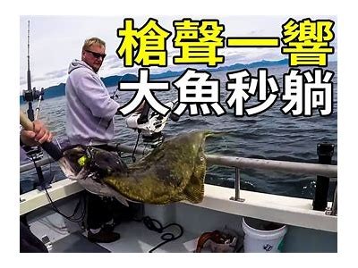 探秘国产大鳄钓鱼技巧，精彩视频带你领略钓鱼乐趣