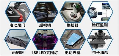 深度剖析：mitao55.cvm的魅力与市场潜力