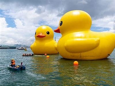 2023年铚滄浠欏コ闂鸿湝瑙嗛的最新发展走向研究