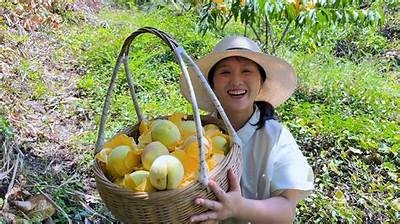 高清免费桃子视频在线观看，尽享国产优质内容无广告