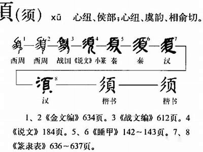 极致实用的姘磋湝妗冩崅鎵嬮湝技术解析与实践指南