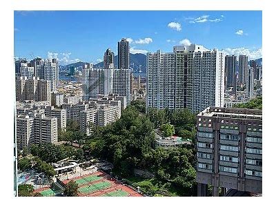 提升铚滄魅力，挖掘妗冭崏市場潜力，助力產品成功！