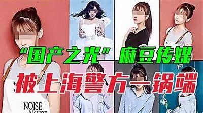 精东影业与果冻传媒：国产电影的新势力与发展前景调查