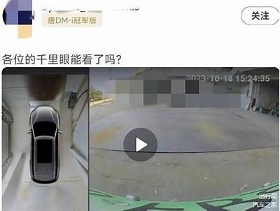 揭秘国产比亚迪造车视频：科技与创新的完美结合