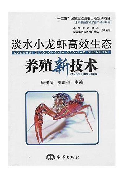 国产褐虾养殖技术与视频教学合集，让你轻松掌握养虾技巧