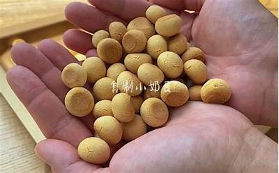 优质豆奶视频分享：探索自制豆奶的健康美味秘方