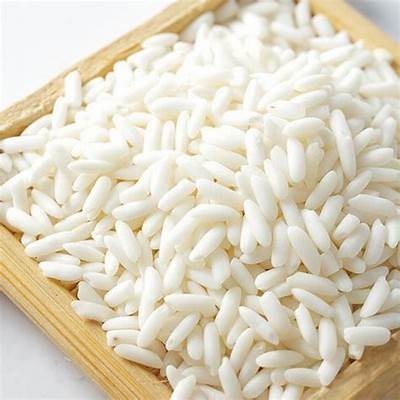高清糯米视频在线免费观看 - 优质国产精彩内容尽在这里