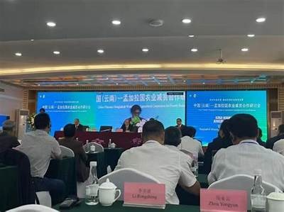 免费高清国产视频在线看，丰富影视资源一网打尽