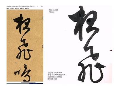 铚滄鍏富娓告垙瑙ｈ瑙嗛：提升财富的实用指南