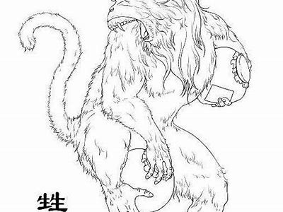 优化铚滄娲涚鎬庝箞：提升信息检视与运营效率的实用技巧