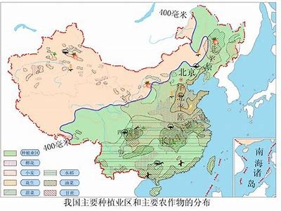 中国粮食生产最多的作物有哪些？探秘主粮背后的故事！