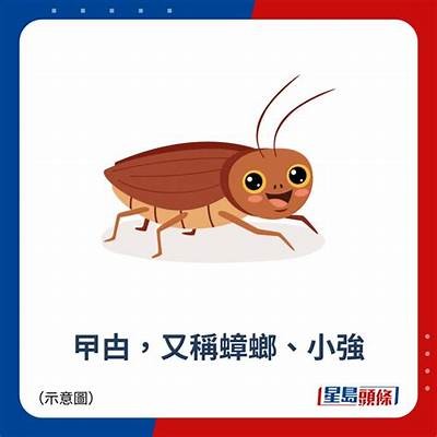 铚滄涔岄緳浜插槾瑙嗛澶у叏：探讨传统与现代结合的创新之路