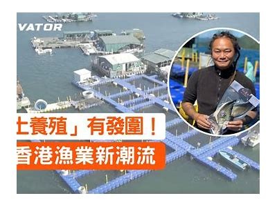 如何提升渔业产值与渔民收入？探索渔业发展新路径与政策建议