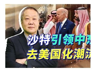 沙特王子观看国产大巴视频，展现对中国制造的关注与认可