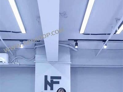 小姐姐成人导航在线观赏，免费观看高清精彩内容