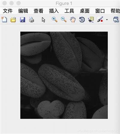 探讨数字图像处理方式在智能家居中的使用与发展动向