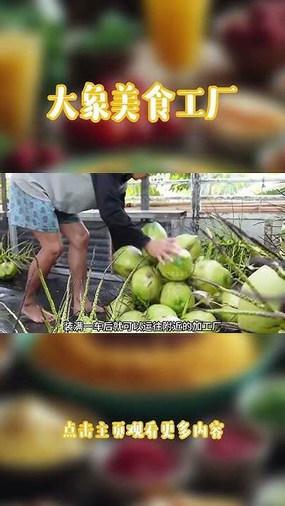 详细解析国产椰子的拆解过程与制作视频