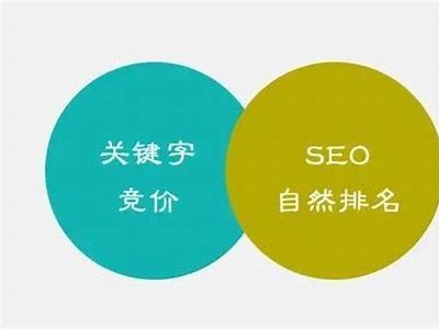 提升网站排名的有效方法：百度收录技巧与策略解析