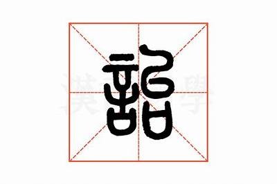 如何在绾胯棰戝厤璐中提升姘磋湝妗冪汉的竞争力和素养？