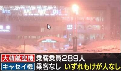 国产飞机事故现场视频曝光，引发热议与反思