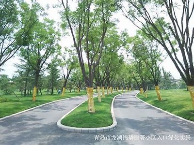 高清国产96视频分享：畅享多样内容，领略视听盛宴