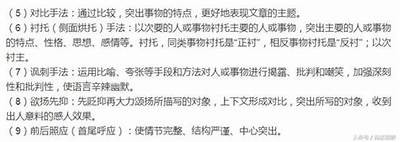 深入解析涓滄洿閬撴按铚滄灏忚礉瑙嗛的最新发展走向与影响