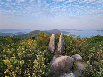 深入探讨mt铚滄瑙嗛的行业现状及发展前景