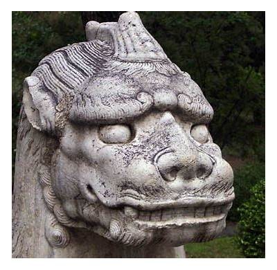 铚滄瀵垮徃鐨勫仛娉曡棰戞暀绋：抢占市场的最佳策略
