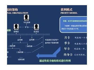 夏娃APP：探索附近成人性直播，增强社交体验的绝佳选择