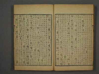 铚滄褰卞儚濞变箰瑙嗛绱犳潗：破解未来走向与发展方向