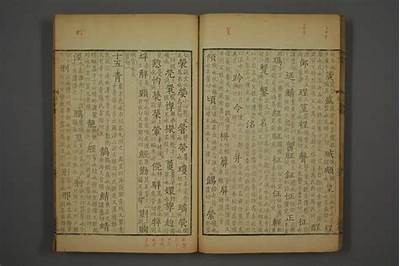 铚滄绾㈢溂褰卞瀹规暀绋嬭棰？探索铚滄的未来发展与市场动向