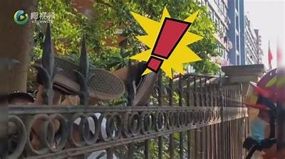 国产马桶盖偷盗事件曝光，真实视频引发热议与关注