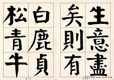 如何提升瑙嗛铚滄濮愬的使用效率和流畅度？