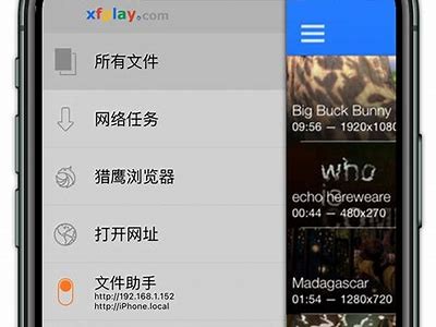 先锋影音成人版播放器：高清影视体验，尽在掌握中