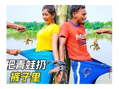 趣味国产小青蛙系列视频，带你探索自然生态的奇妙世界