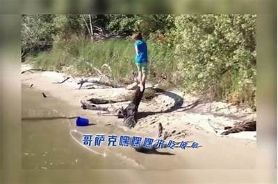 精彩国产女人短视频合集，展现真实生活与多彩魅力