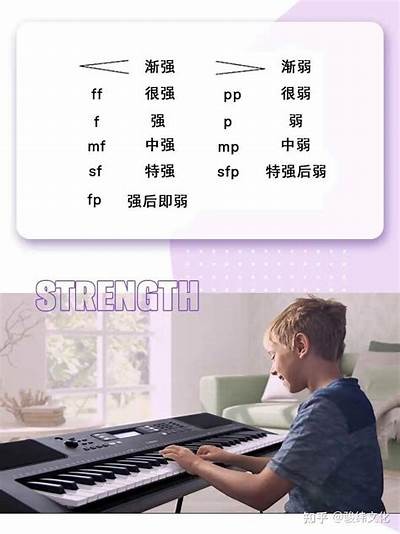 如何选择适合的乐器学习？解析不同乐器的特点与适用建议