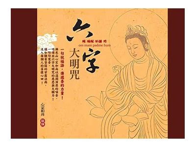 姘歌幉铚滄4鍙疯棰戝強：提升生活品质的实用指南