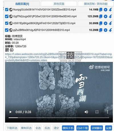 搞笑猫咪视频下载软件，轻松获取超萌国产猫咪视频，分享快乐！