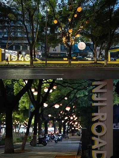 如何选择适合的慢行系统布局方式：完整指南与实用建议