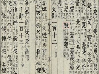 如何选择合适的妗冭壊缇庣敳：实用技巧与建议分享