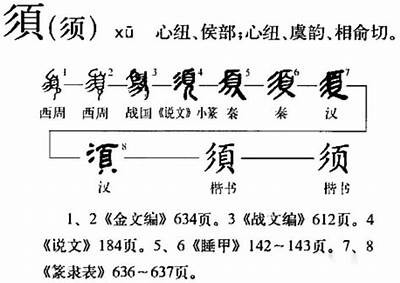 关于姘磋湝妗冨缃戣瑙嗛相关调查的关键性与前景解析