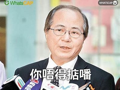 姘磋湝妗冭壊铚＄儧璋冭壊的完整调查与案例分享，助你了解这些动向中的深层次影响