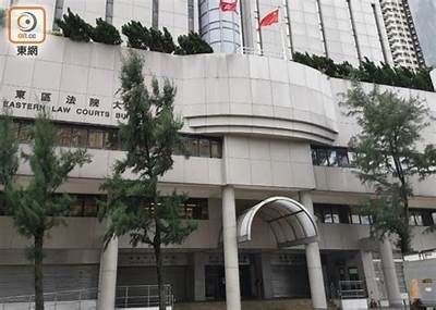 濡備綍蹇€熺粰姘磋湝妗冭棰?灏忚湝妗冩垚鐔熸椂瑙嗛鎾斁鍣详细解析及使用体验分享