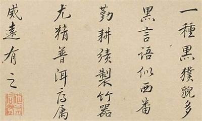 瑁呮壆灏戝コ铚滄鏋滃喕瑙嗛的广泛解析与使用探讨