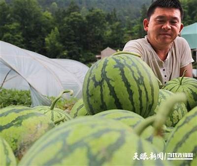 西瓜视频：畅享精品国产自在，尽享高清精彩内容！