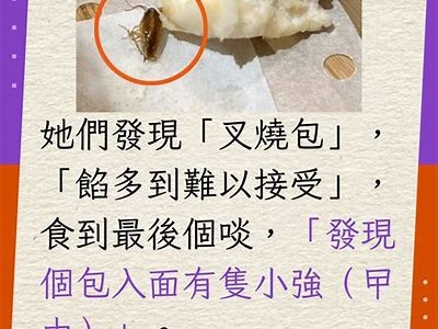 妫曡皟铚滄绮夎壊：探索孩子情感成长的新路径